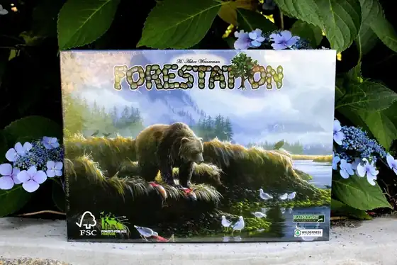 The Forestation board game box: a painting of a grizzly bear on a misty West Coast shoreline, set among blue hydrangeas